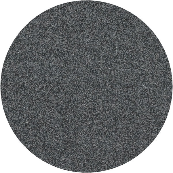 PRO F355 Schleifblatt, 125 mm, G60, 10-tlg.