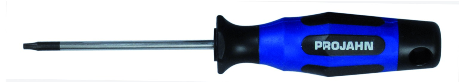 Schraubendreher TX 10