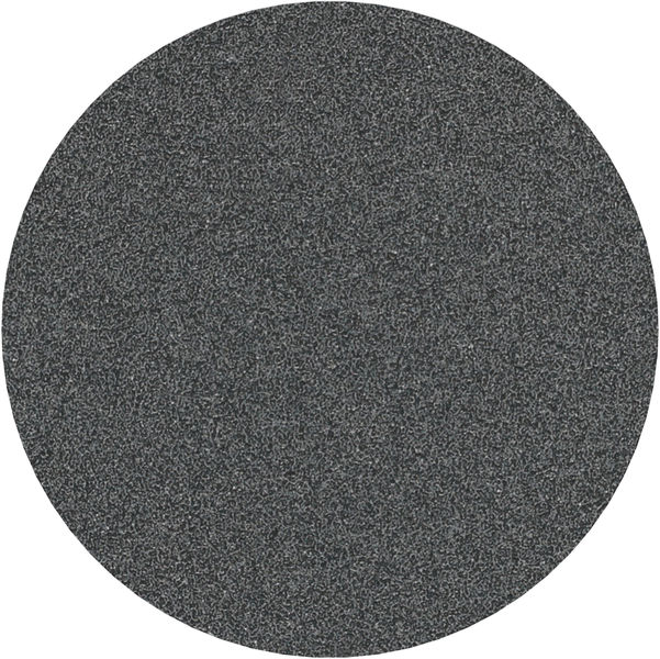 PRO F355 Schleifblatt, 125 mm, 80, 10-tlg.